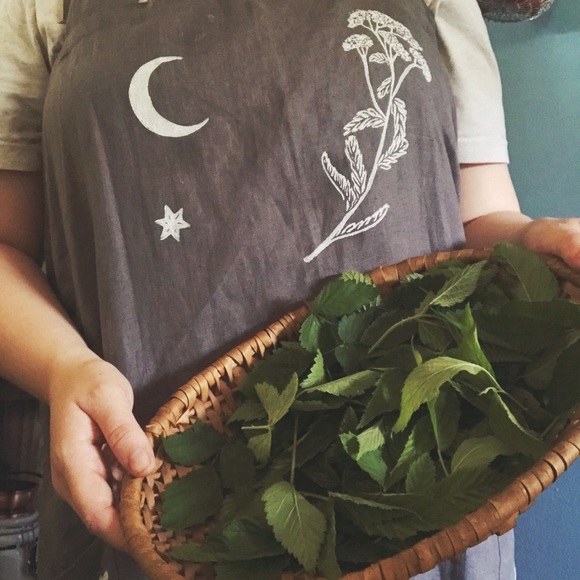 Meet your Posher, Amber - Picture 5 of 7